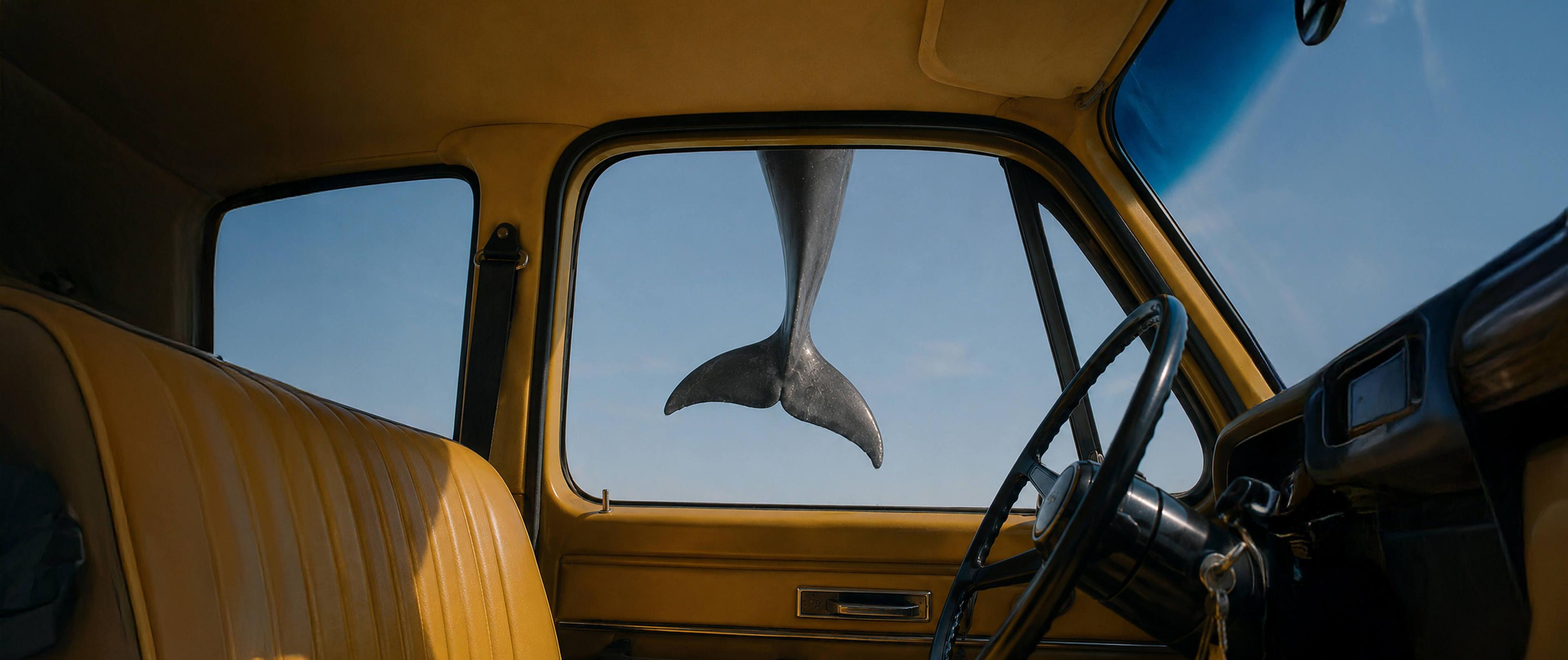 Vänner på roadtrip i bil