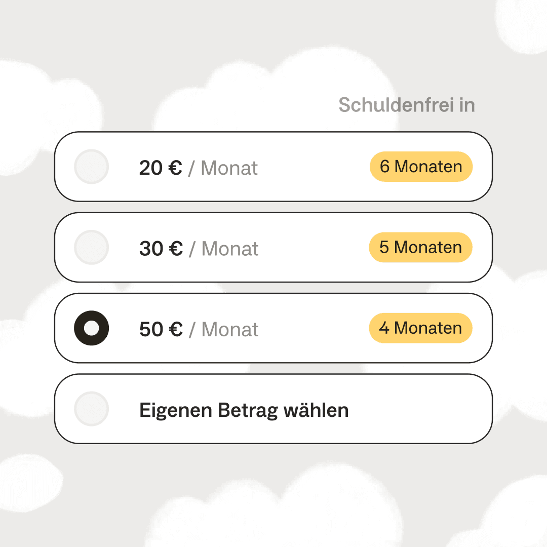 Darstellung der App, in der man verschiedene Monatsraten wählen kann