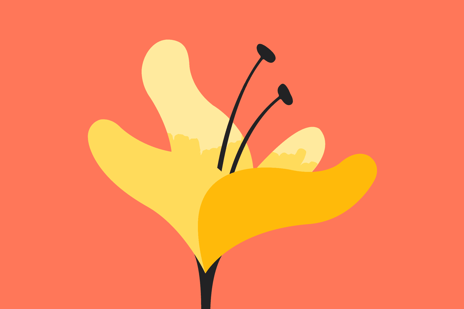 illustrasjon av gul blomst med oransje bakgrunn